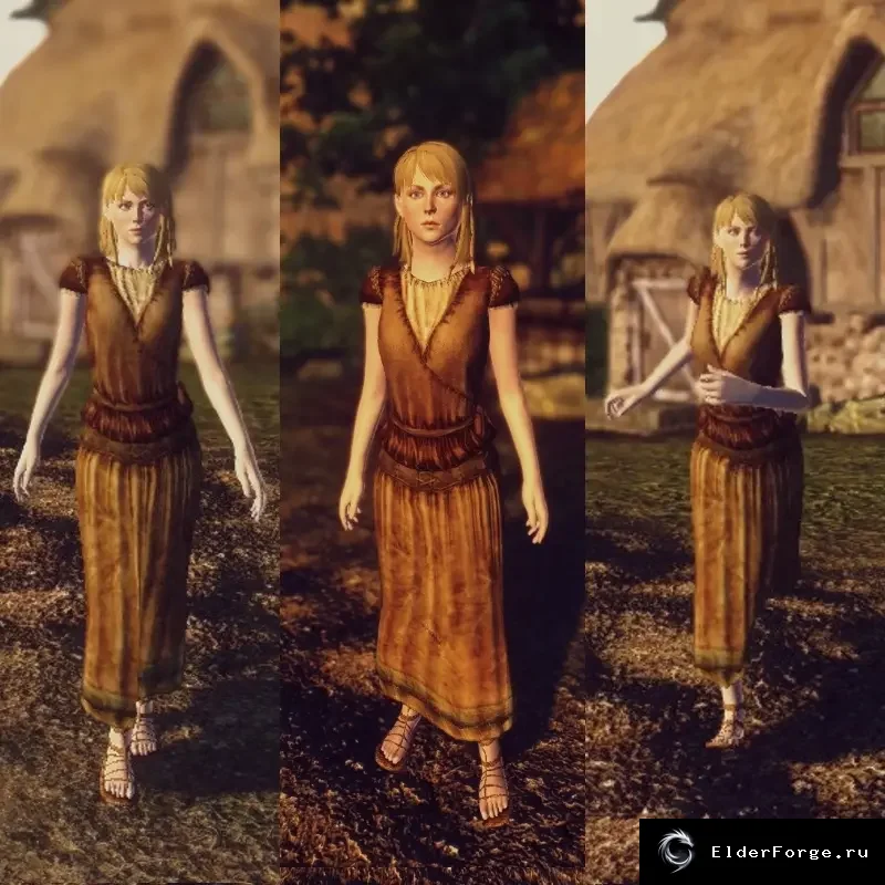 Обложка мода: Феминизированные анимации ходьбы и бега женских NPC в Oblivion
