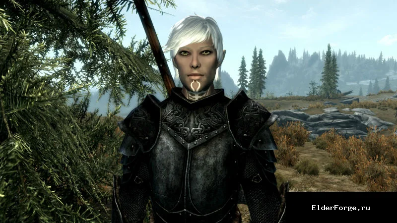 Обложка мода: Фенрис — спутник из Dragon Age 2 для Skyrim SE/AE