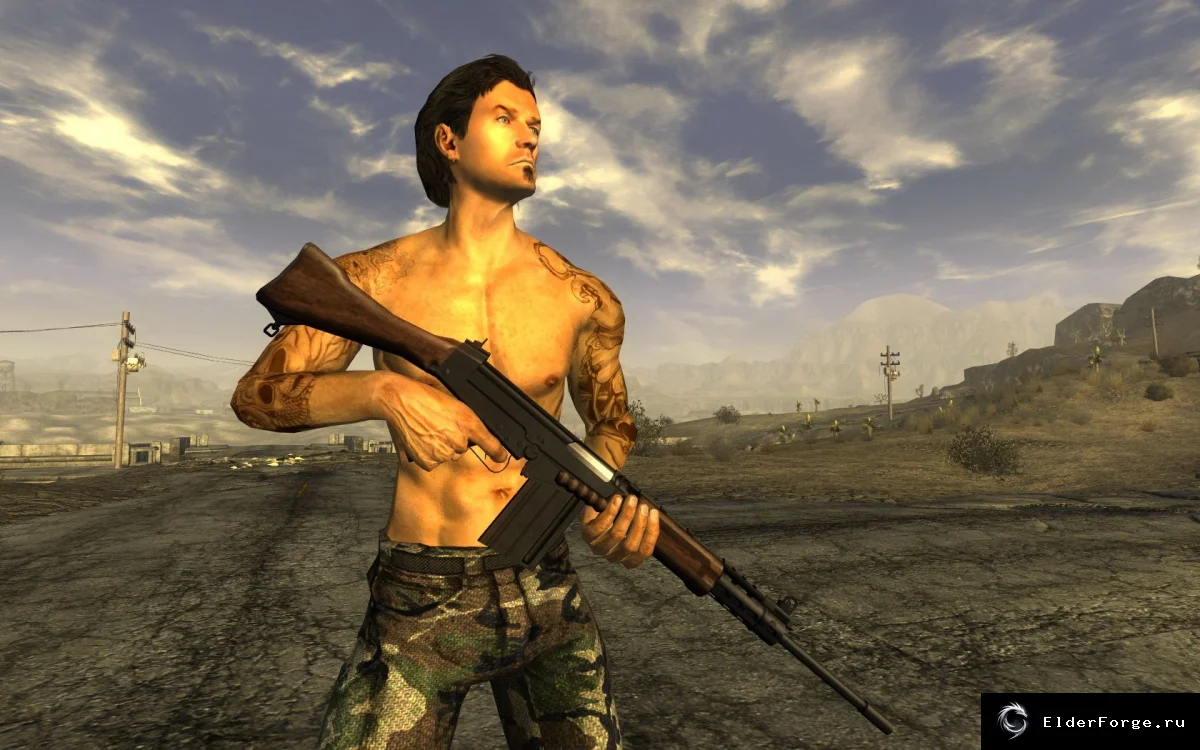Обложка мода: FN FAL для Fallout: New Vegas: 16 вариантов винтовки без апгрейдов