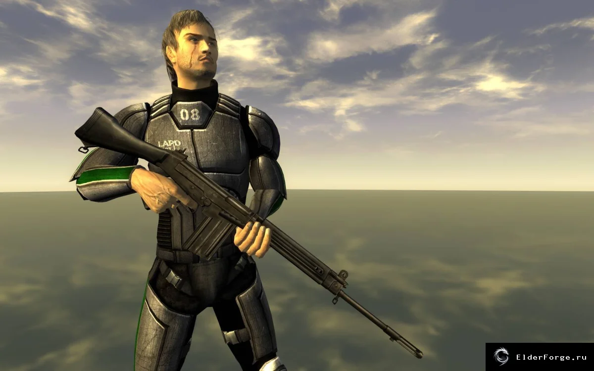 Обложка мода: FN FAL для Fallout: New Vegas: 9 вариантов камуфляжа и уникальный дизайн