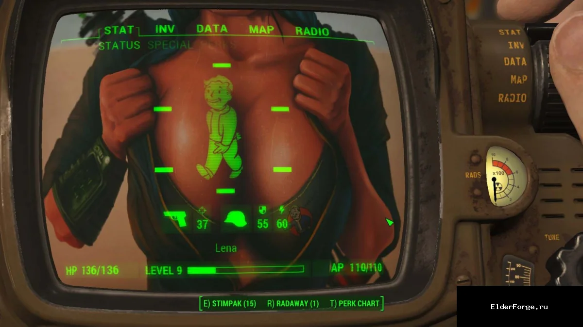 Обложка мода: Фон для PIP‑боя в Fallout 4 – новая текстура