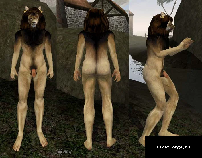 Обложка мода: Грива — уникальная гигантская раса Хаджитов для Morrowind