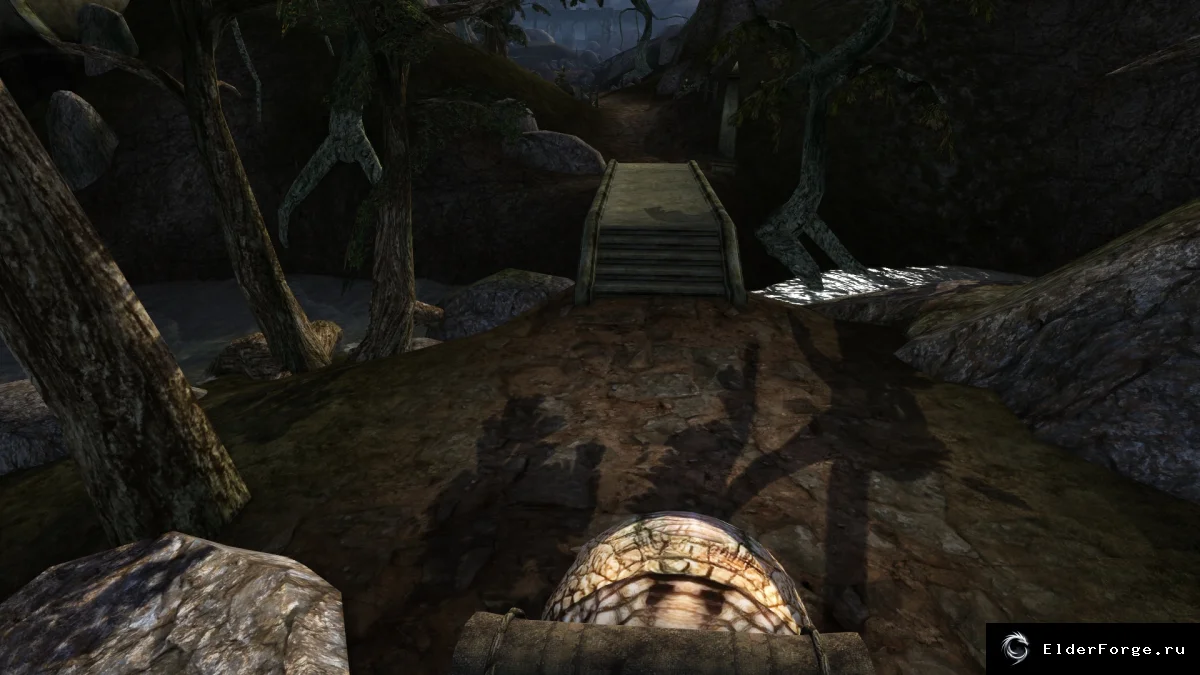 Обложка мода: Гуары в Morrowind: дрессировка, разведение и верные компаньоны