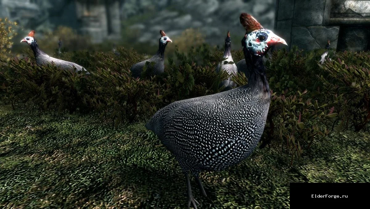 Обложка мода: Гуси и птицы Хаммерфелла LE — Geese and Hammerfell Fowls