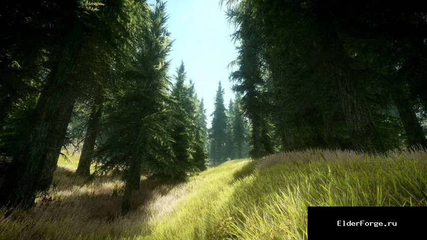 Обложка мода: Густые деревья LE / Lush Trees