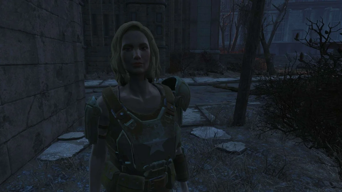 Обложка мода: Hailey Companion – новый спутник для Fallout 4
