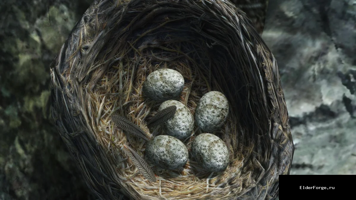 Обложка мода: HD 4K гнезда для Skyrim Legendary Edition – ультрачеткие текстуры