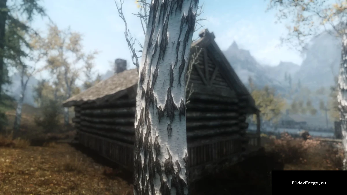 Обложка мода: HD‑ретекстур берёзовой коры для Skyrim Legendary Edition – Parallax 4K