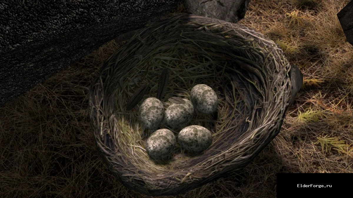 Обложка мода: HD‑ретекстурирование птичьих гнёзд для Skyrim Legendary Edition