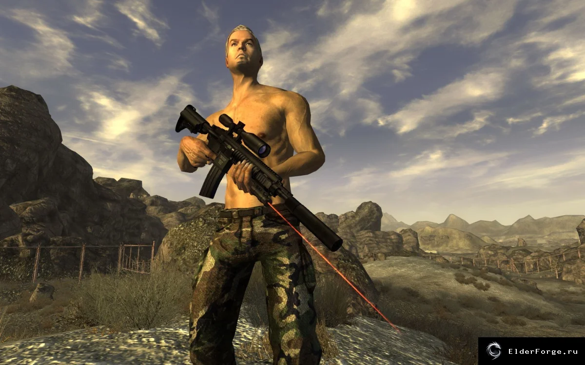 Обложка мода: HK 416 для Fallout: New Vegas - 8 вариантов оружия