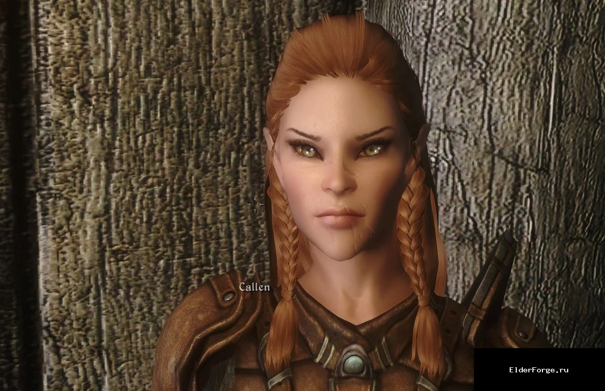 Обложка мода: Hott Interesting NPCs LE — эстетическая внешность для «Интересных NPC»