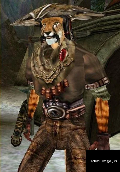 Обложка мода: Идем в Морнхолд — мгновенный переход из Балморы в Morrowind