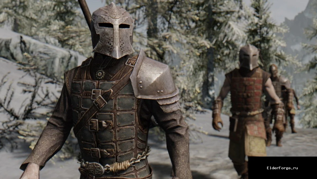 Обложка мода: Иммерсивные патрули для Skyrim SE – живые отряды фракций