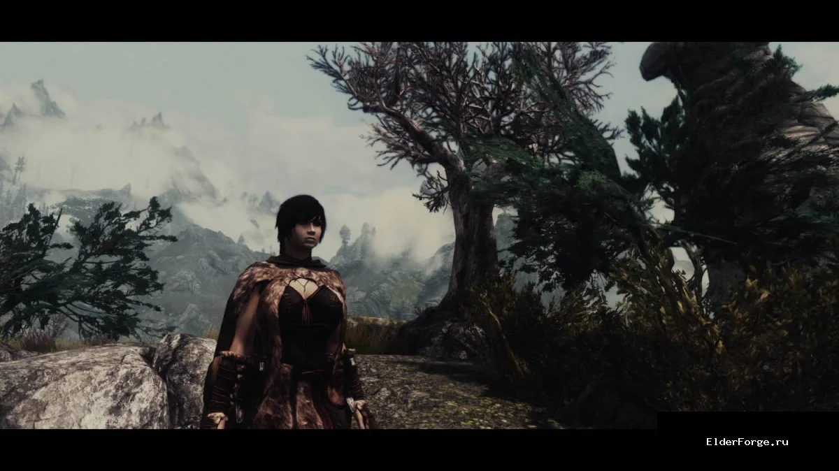 Обложка мода: Исправление ножен для двойного меча в Skyrim LE – отображение обоих мечей и щита
