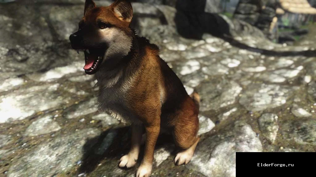 Обложка мода: Истинные собаки Skyrim LE — HD‑моделирование и текстуры