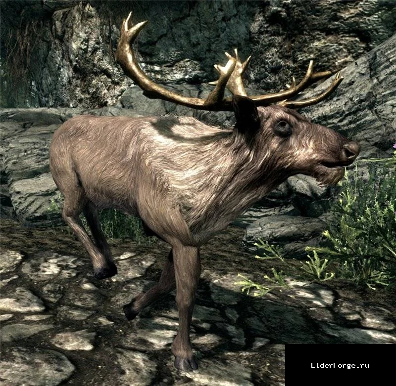 Обложка мода: Изменение цен в Skyrim Legendary Edition – баланс торговли и добычи