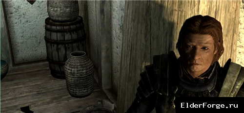 Обложка мода: Joy — мощный боевой компаньон для Skyrim Legendary Edition