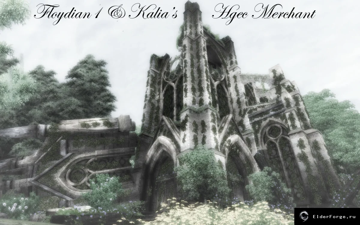 Обложка мода: Женский магазин одежды HGEC Kf Chapel Shop — The Elder Scrolls IV: Oblivion
