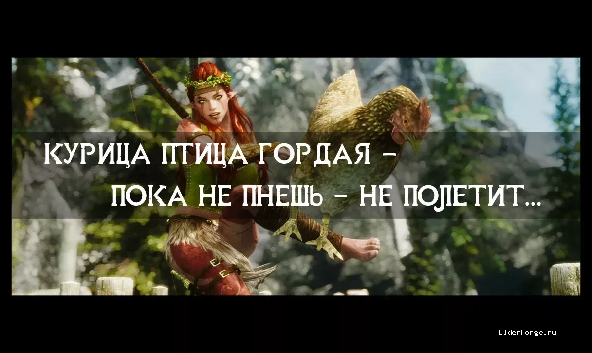 Обложка мода: Kick Chickens — пинать кур в Skyrim LE без штрафов