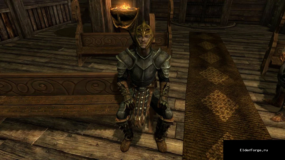 Обложка мода: Компаньон Амдир – странный воин в пластиночном доспехе для Skyrim LE