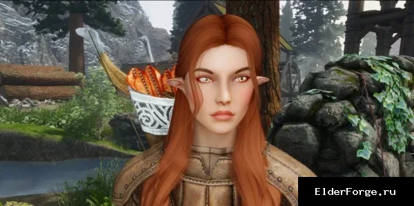 Обложка мода: Компаньон Арвен LE / Arwen Follower