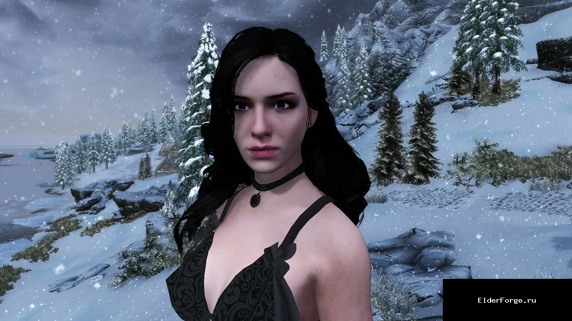 Обложка мода: Компаньон Йеннифэр из Венгерберга для Skyrim SE-AE