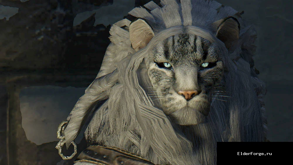 Обложка мода: Компаньон С'Ин LE / S'in Dunestride Lion's Roar