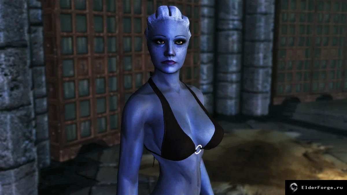 Обложка мода: Компаньоны из Mass Effect для Skyrim LE — новые союзники