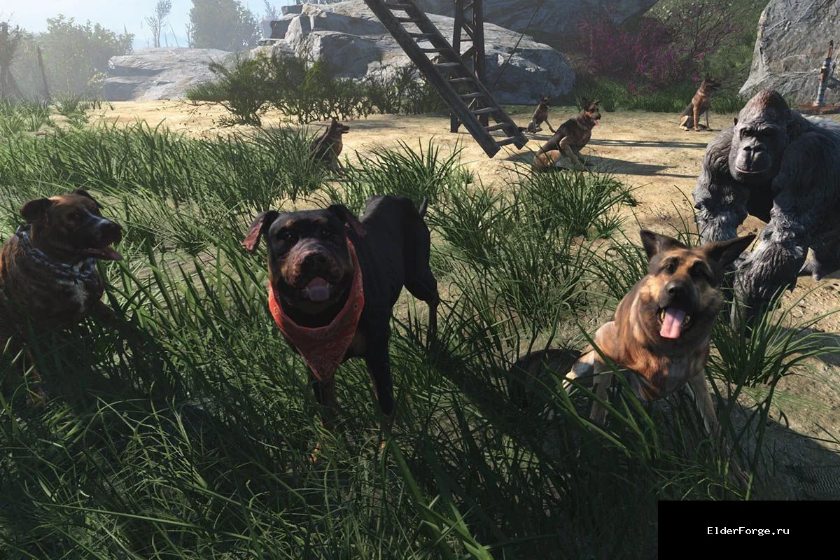 Обложка мода: Крафт собак в Fallout 4: новые питомцы из мастерской