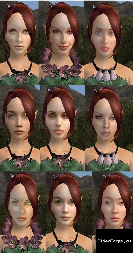 Обложка мода: Красивые босмерские лица – 9 новых персонажей для Morrowind