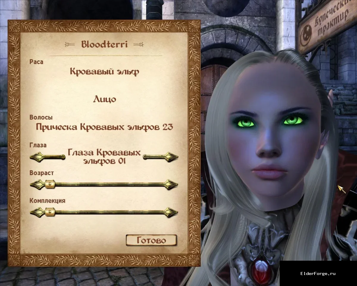 Обложка мода: Кровавые эльфы — новая раса из World of Warcraft для Oblivion