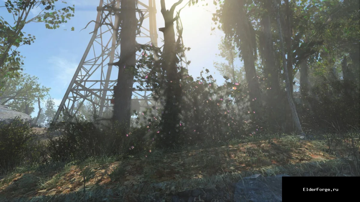 Обложка мода: Лето в Соджружестве — летний климат для Fallout 4
