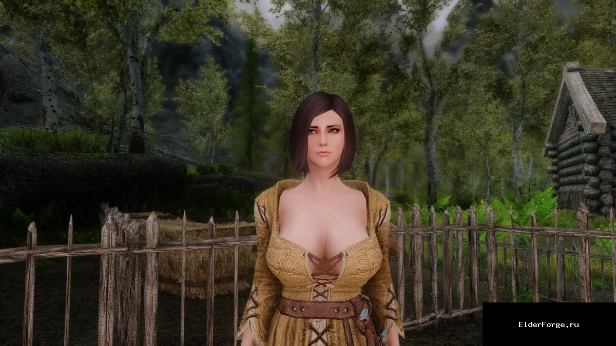 Обложка мода: Лицевой реплейсер Леонары Ария для Skyrim LE – новый облик персонажа