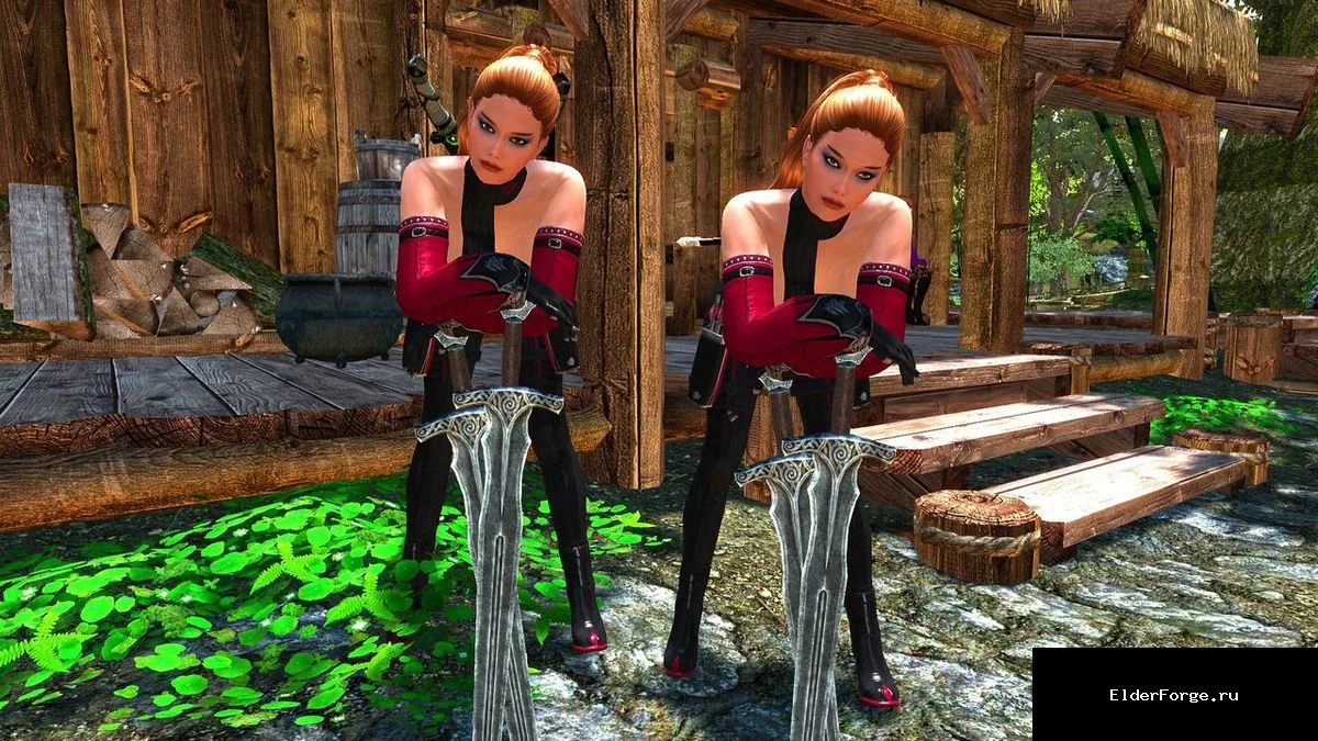 Обложка мода: Lisa Follower SE – Неуязвимая спутница Лайза для Skyrim SE/AE