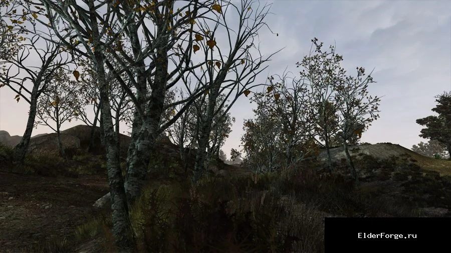 Обложка мода: Лиственное Западное Нагорье II — улучшенные деревья для Morrowind 0.1a