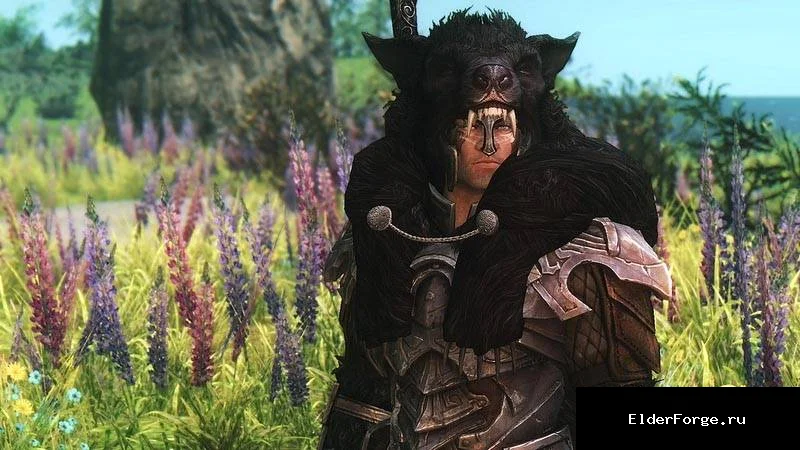 Обложка мода: Мантия Серебряной руки – оригинальная лорная броня для Skyrim LE