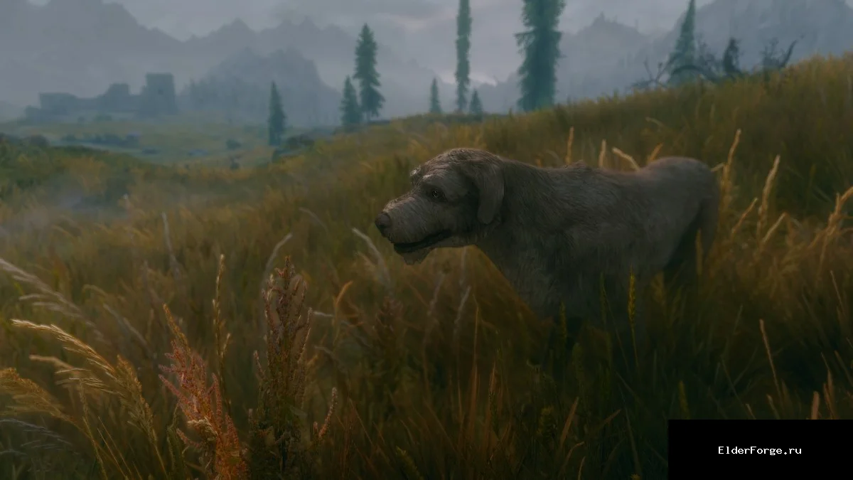 Обложка мода: Meeko &amp; Vigilance Reborn – новые облики и улучшения для собак (Skyrim SE)