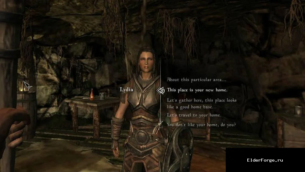Обложка мода: Мой дом, твой дом — мод для спутников в Skyrim LE
