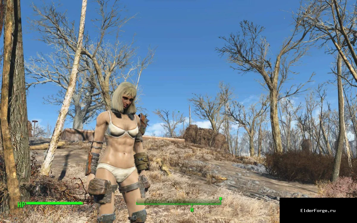 Обложка мода: Мускулистые женщины – новый внешний вид персонажей в Fallout 4