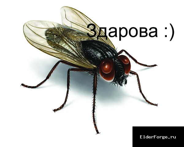 Обложка мода: Мухи – визуальный эффект жужжания для Morrowind