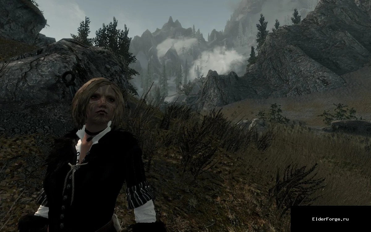 Обложка мода: Найла Бретонка — Пресет персонажа для Skyrim LE