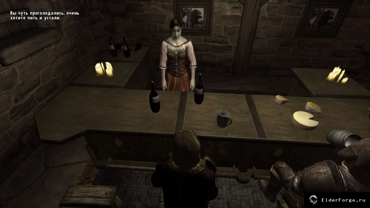Обложка мода: Basic Primary Needs для Oblivion — виджеты и настройка потребностей