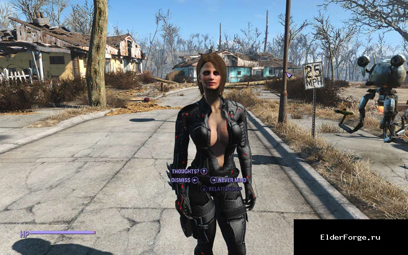 Обложка мода: Неограниченные компаньоны в Fallout 4 – Unlimited Companion Framework
