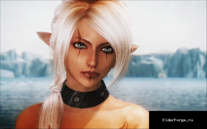 Обложка мода: Нилеа LE / Nylea — Standalone Follower