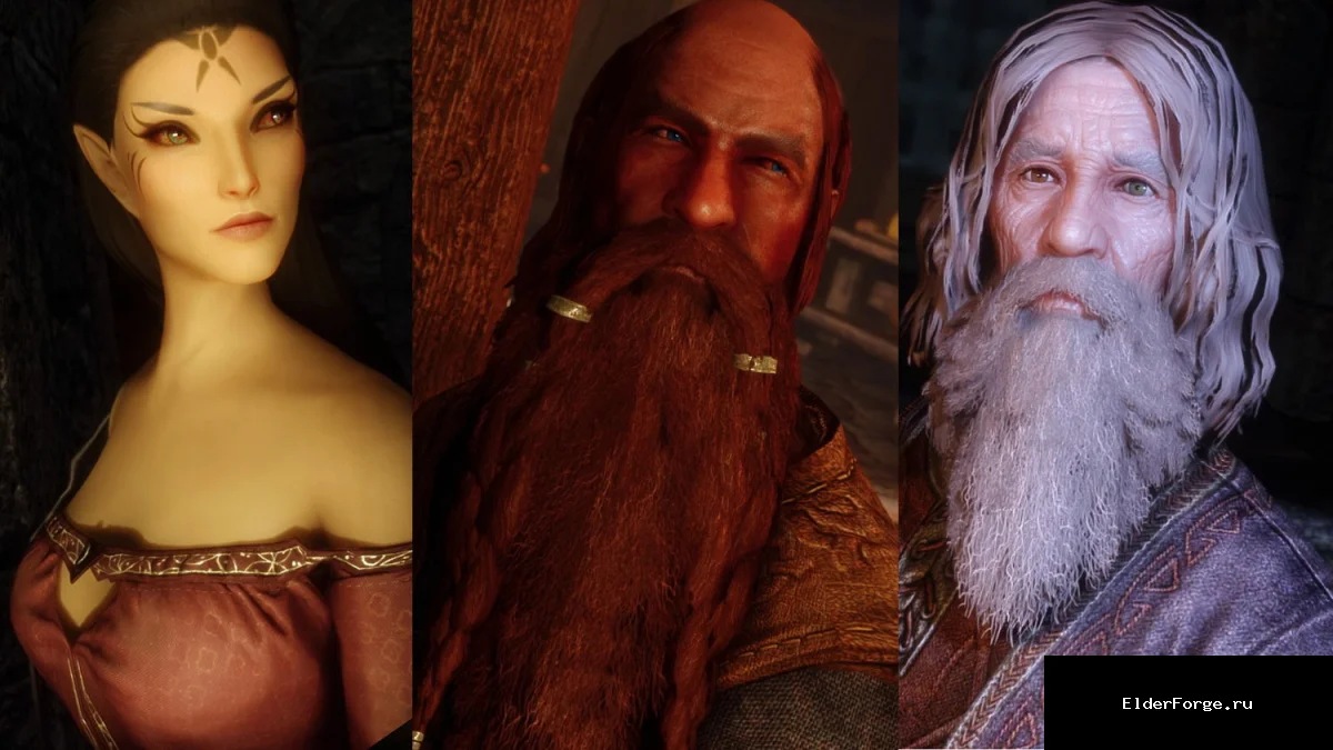 Обложка мода: Northbourne NPCs of Winterhold — новые лица жителей Винтерхолда для Skyrim SE