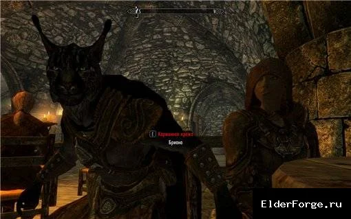 Обложка мода: Новая спутница‑бретонка для Skyrim LE: уникальный компаньон в таверне «Смеющаяся Крыса»