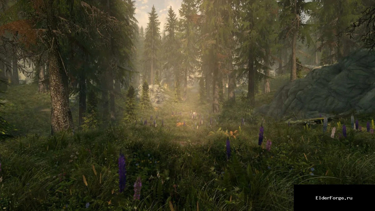Обложка мода: Новая трава для Skyrim SE‑AE: улучшенные модели и текстуры