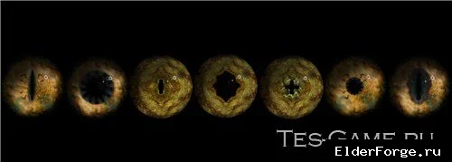 Обложка мода: Новые текстуры глаз для зверорас в Skyrim Legendary Edition