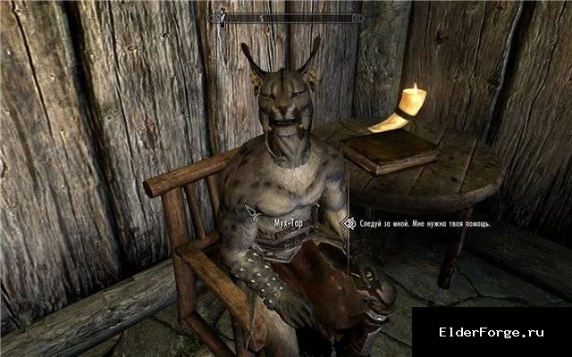 Обложка мода: Новый каджит‑спутник для Skyrim Legendary Edition – брутальный компаньон