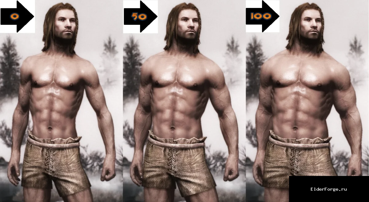 Обложка мода: Новый набор мужского белья для Skyrim SE – замена ванильного нижнего белья